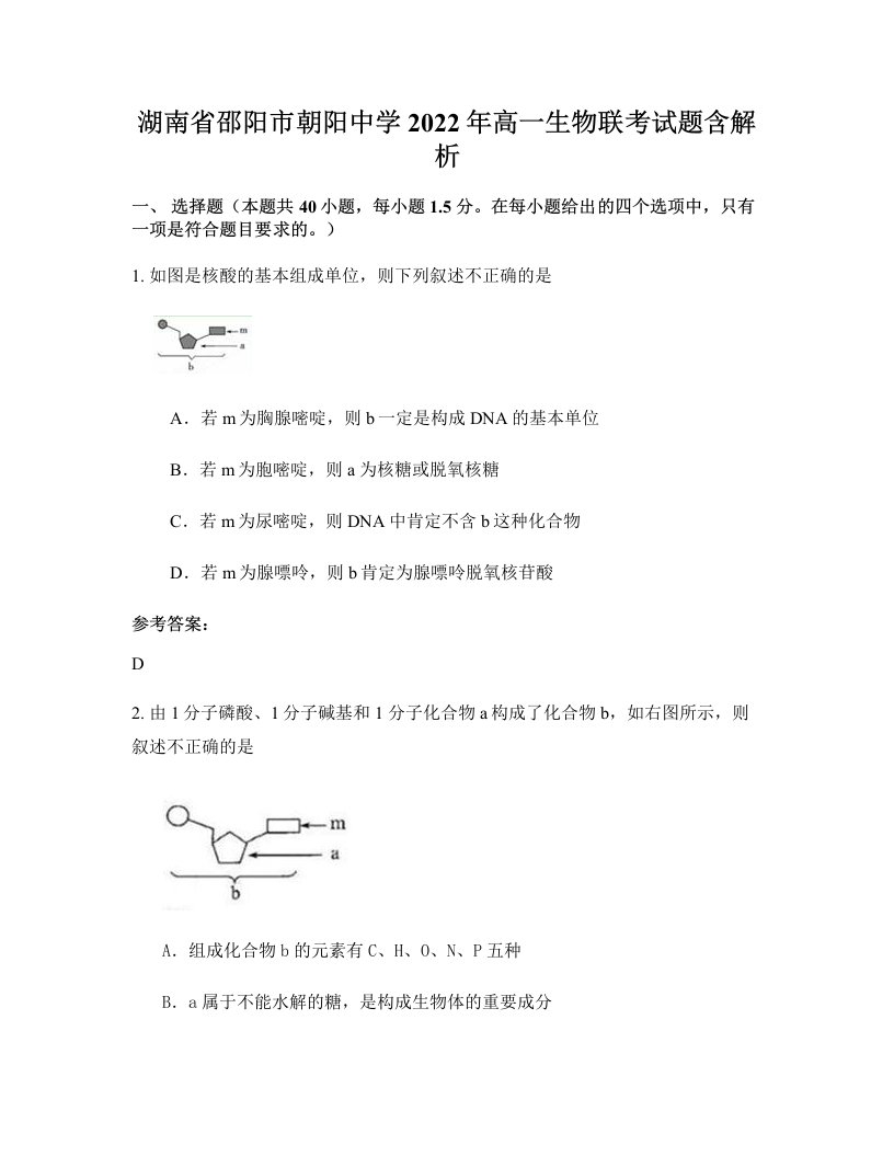 湖南省邵阳市朝阳中学2022年高一生物联考试题含解析