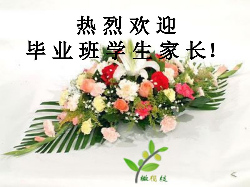 中考志愿填报指南(ppt课件)