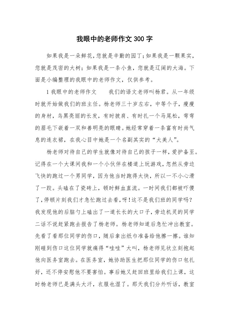 我眼中的老师作文300字