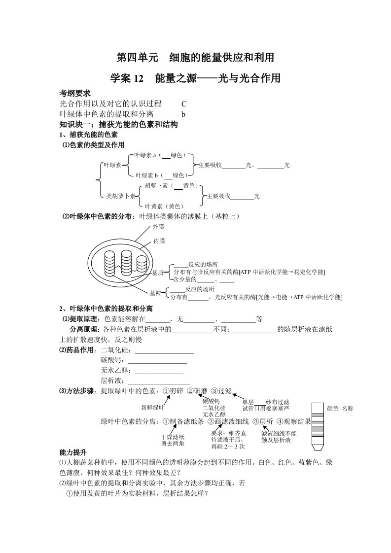 学案11能量之源-光与光合作用