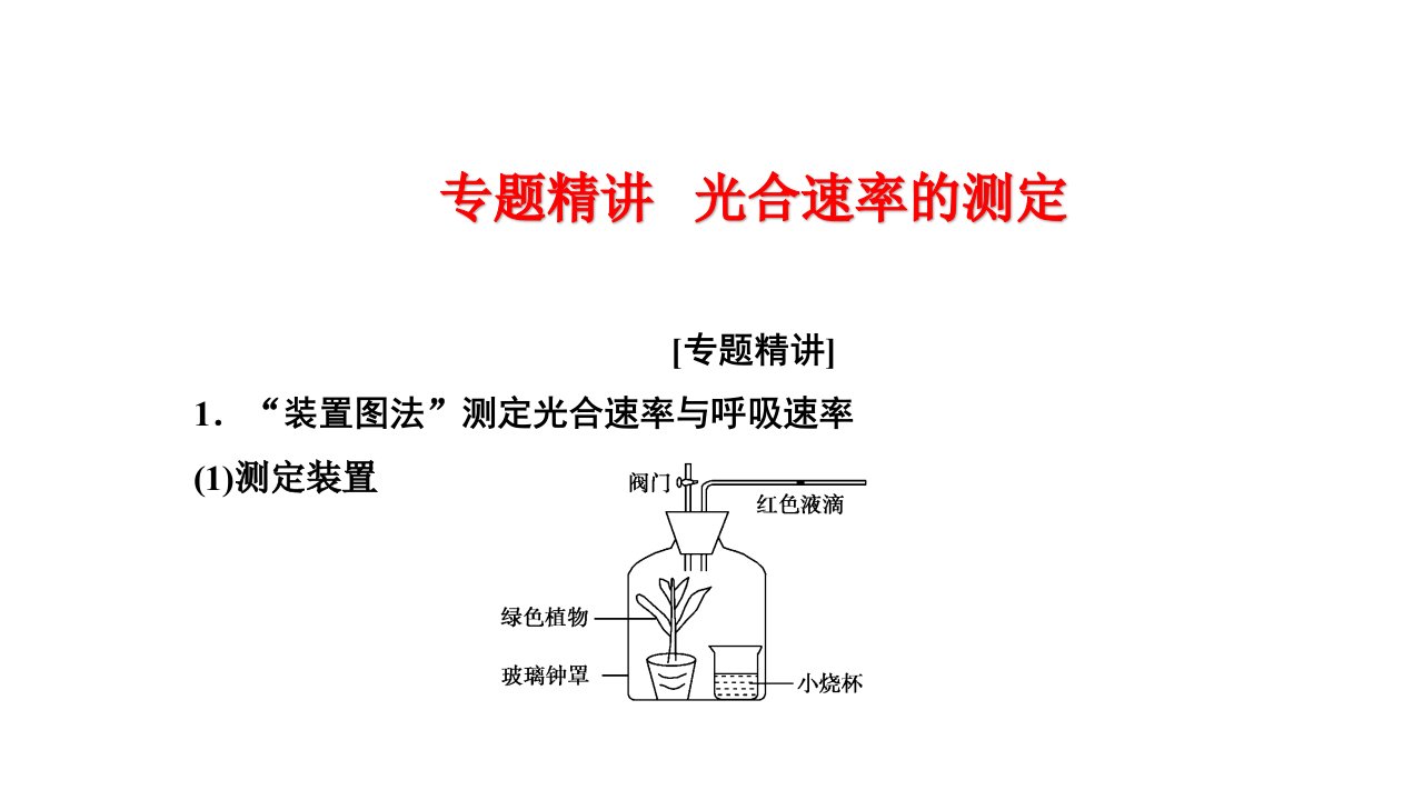 人教版高考生物复习专题精讲《光合速率的测定》课件(共56张)