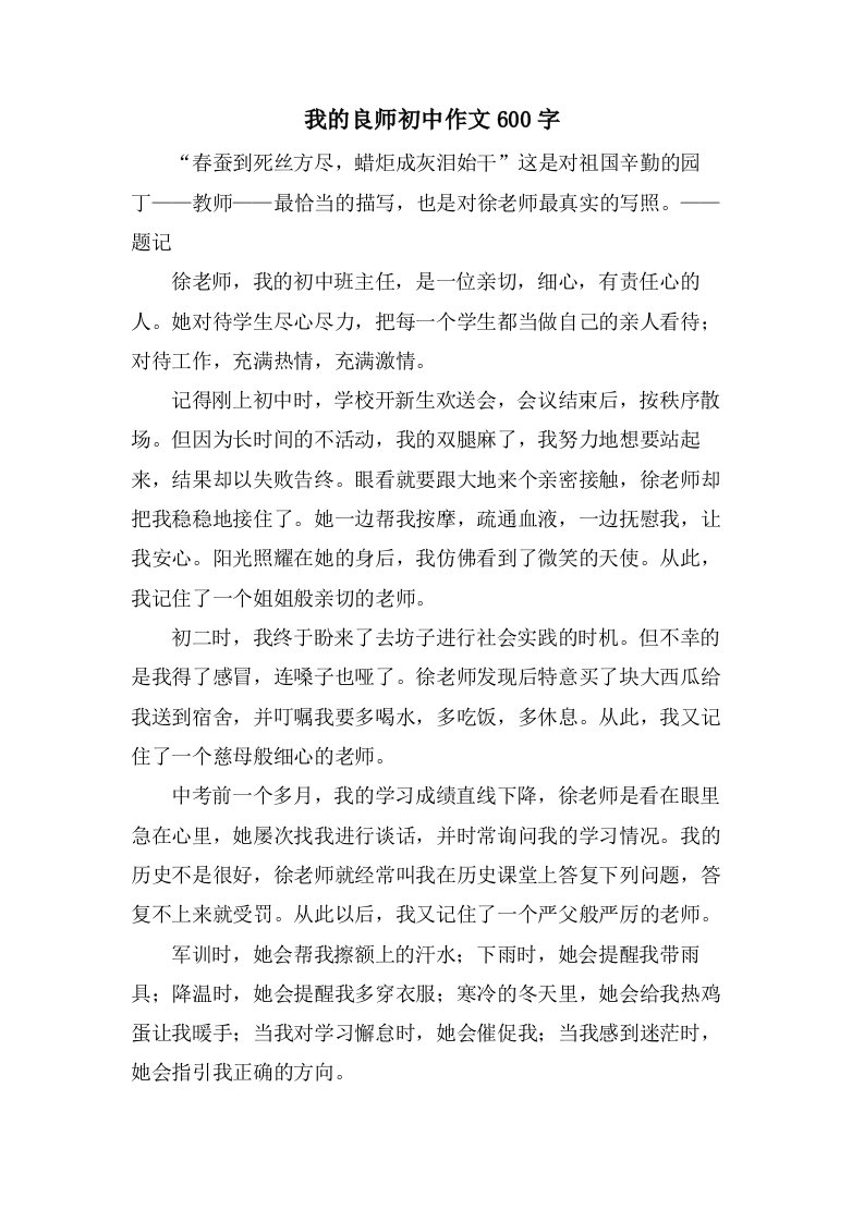 我的良师初中作文600字