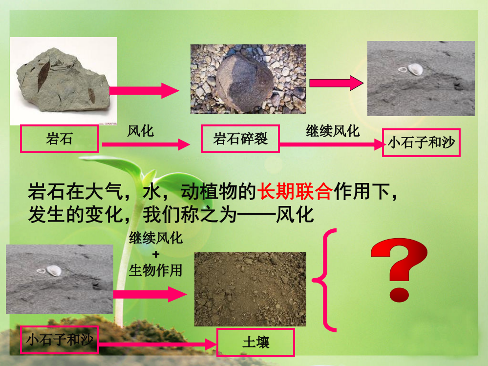 教科版小学科学五年级上册_土壤中有什么