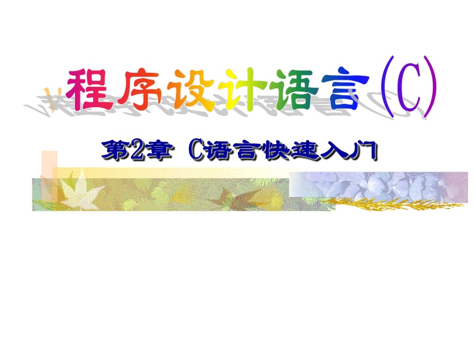 《C语言快速入门》PPT课件