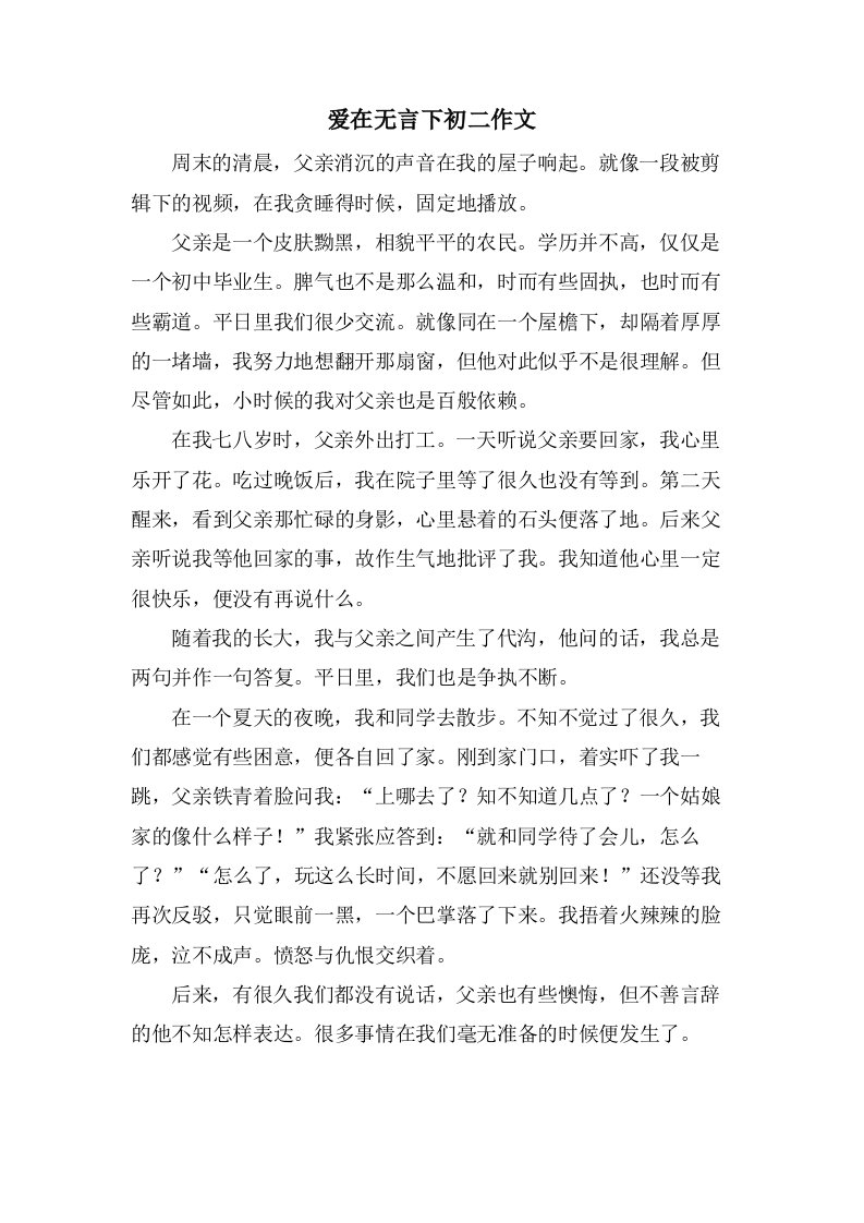 爱在无言下初二作文