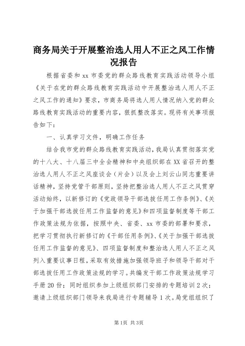 5商务局关于开展整治选人用人不正之风工作情况报告