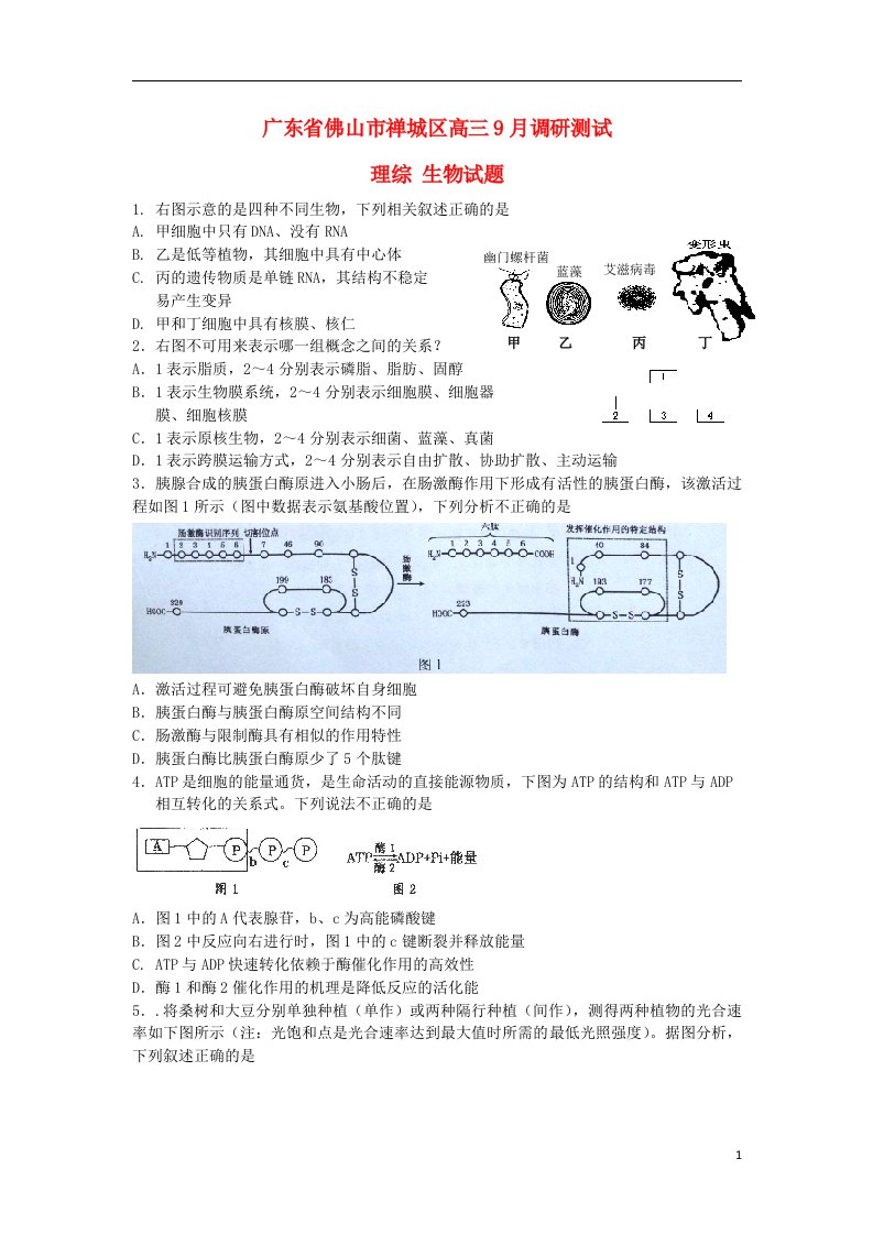 广东省佛山市禅城区高三理综（生物部分）9月调研测试试题新人教版