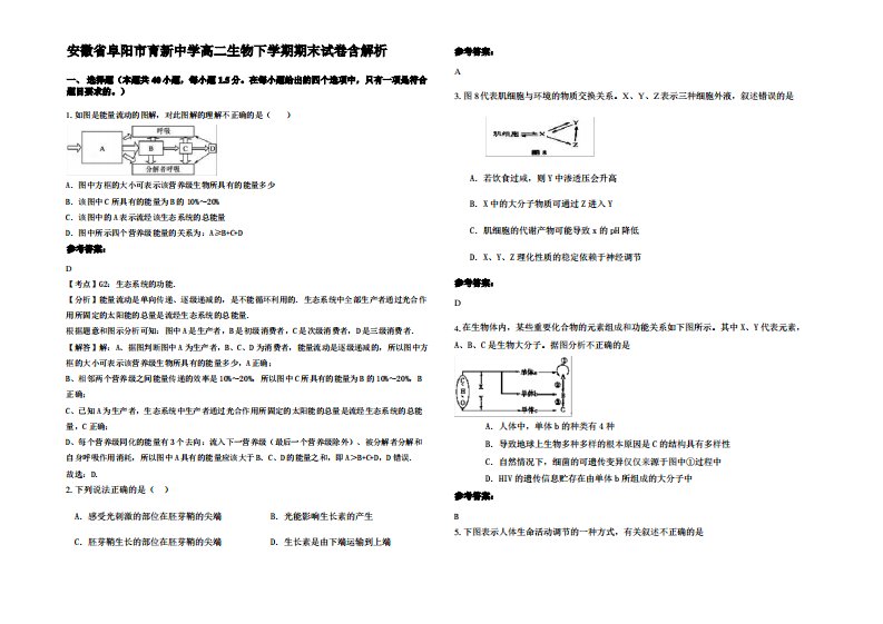 安徽省阜阳市育新中学高二生物下学期期末试卷含解析