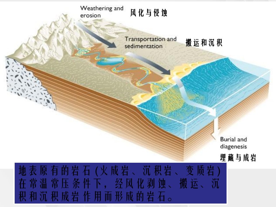 实验三认识常见沉积岩