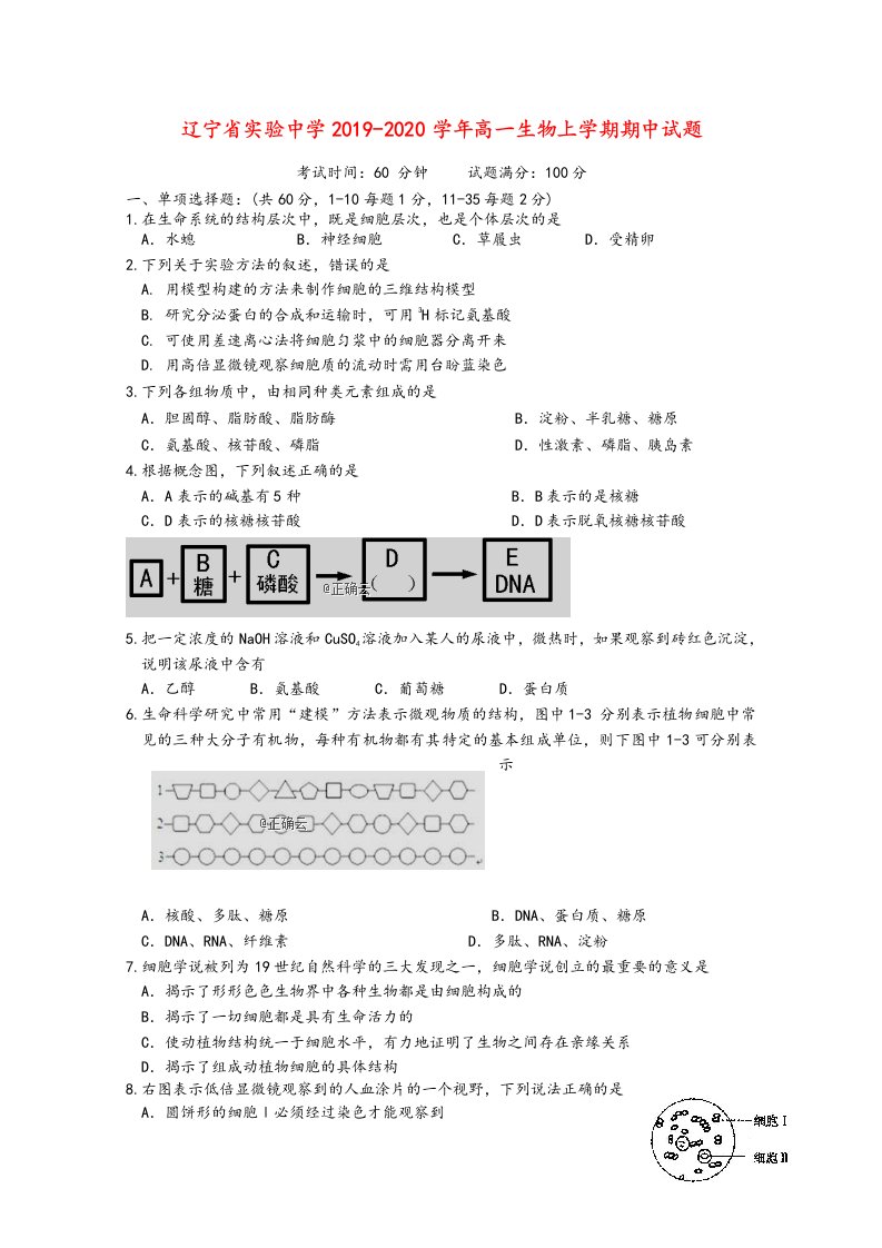 辽宁省实验中学2019