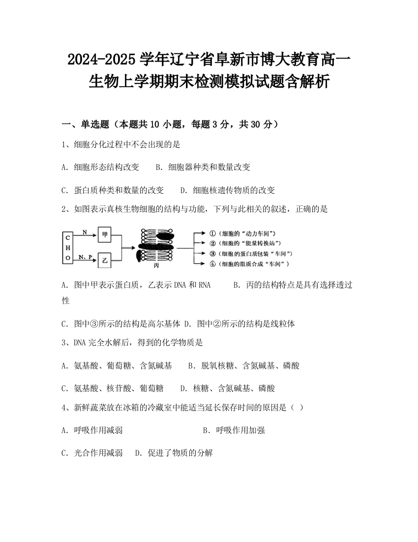 2024-2025学年辽宁省阜新市博大教育高一生物上学期期末检测模拟试题含解析