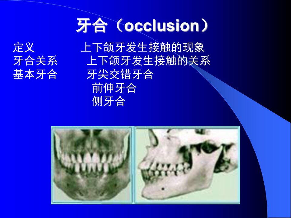 中国医科大学-口腔解剖生理学课件06