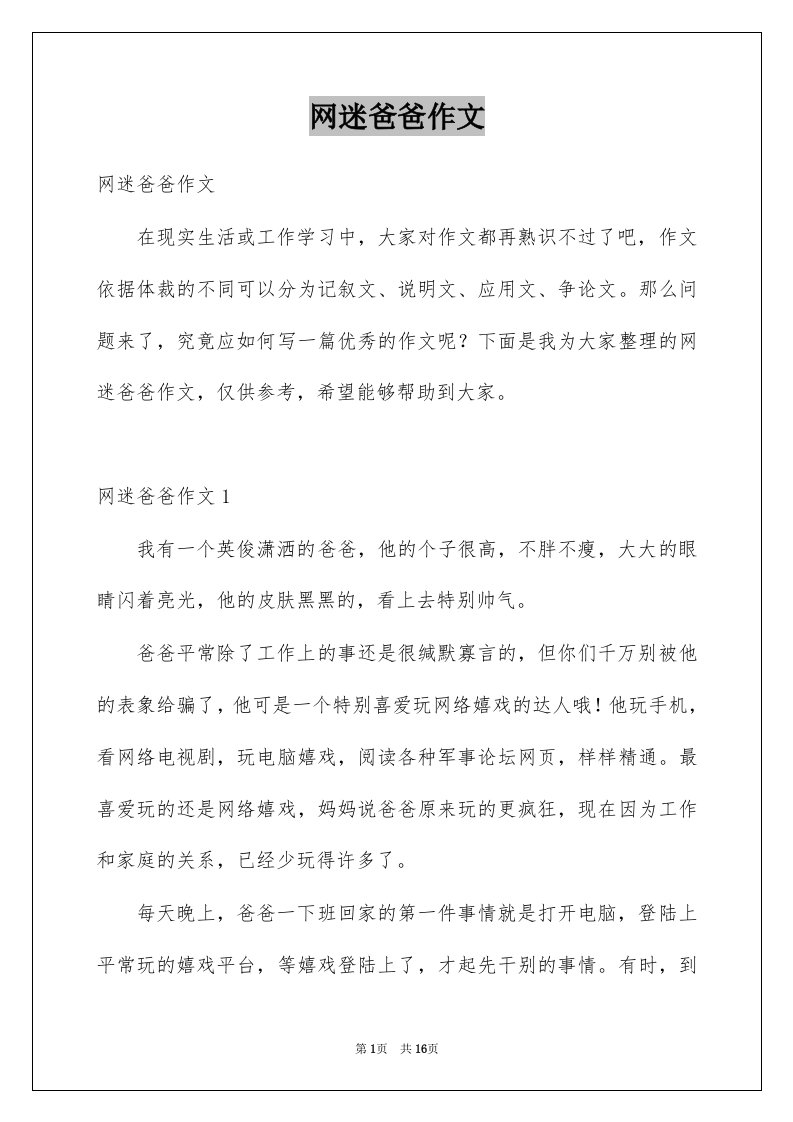 网迷爸爸作文