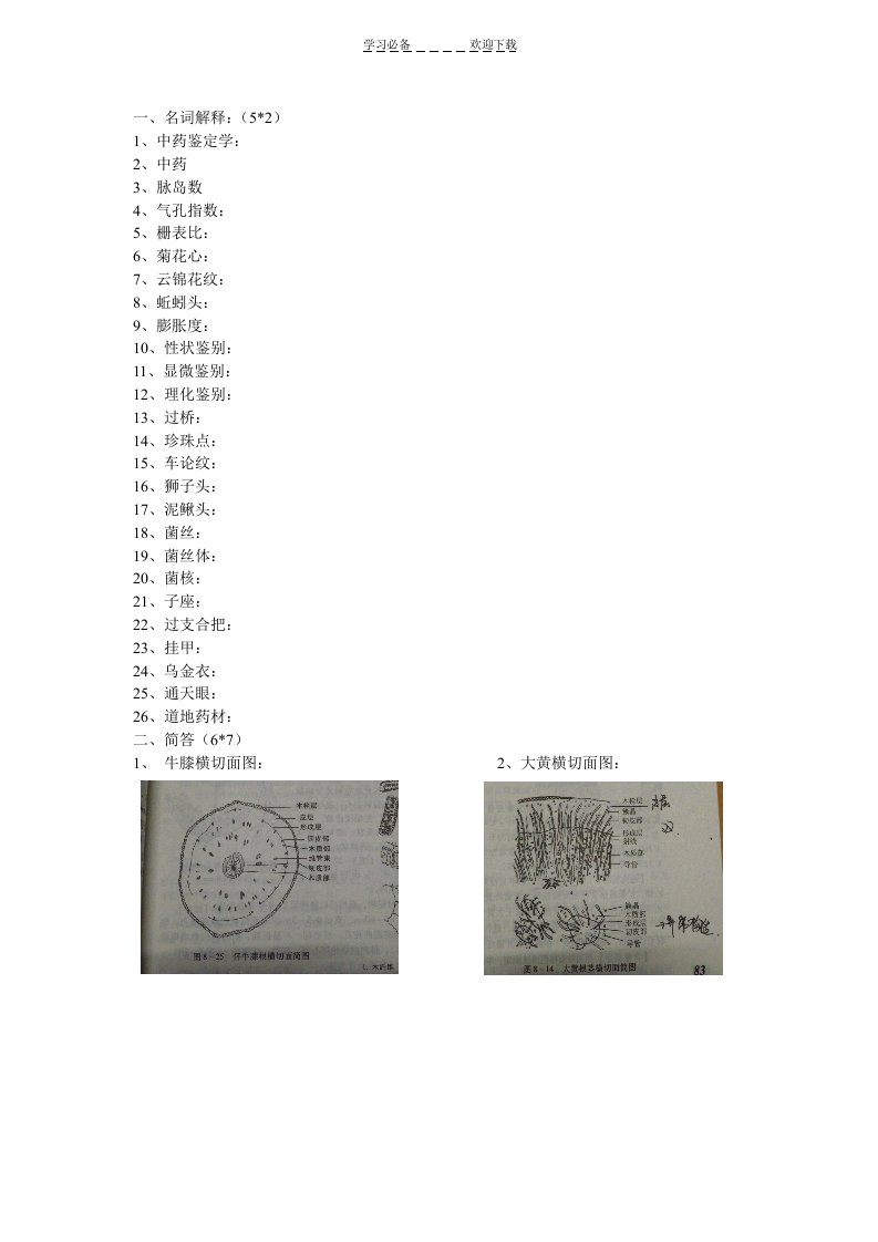 中药鉴定学名词解释