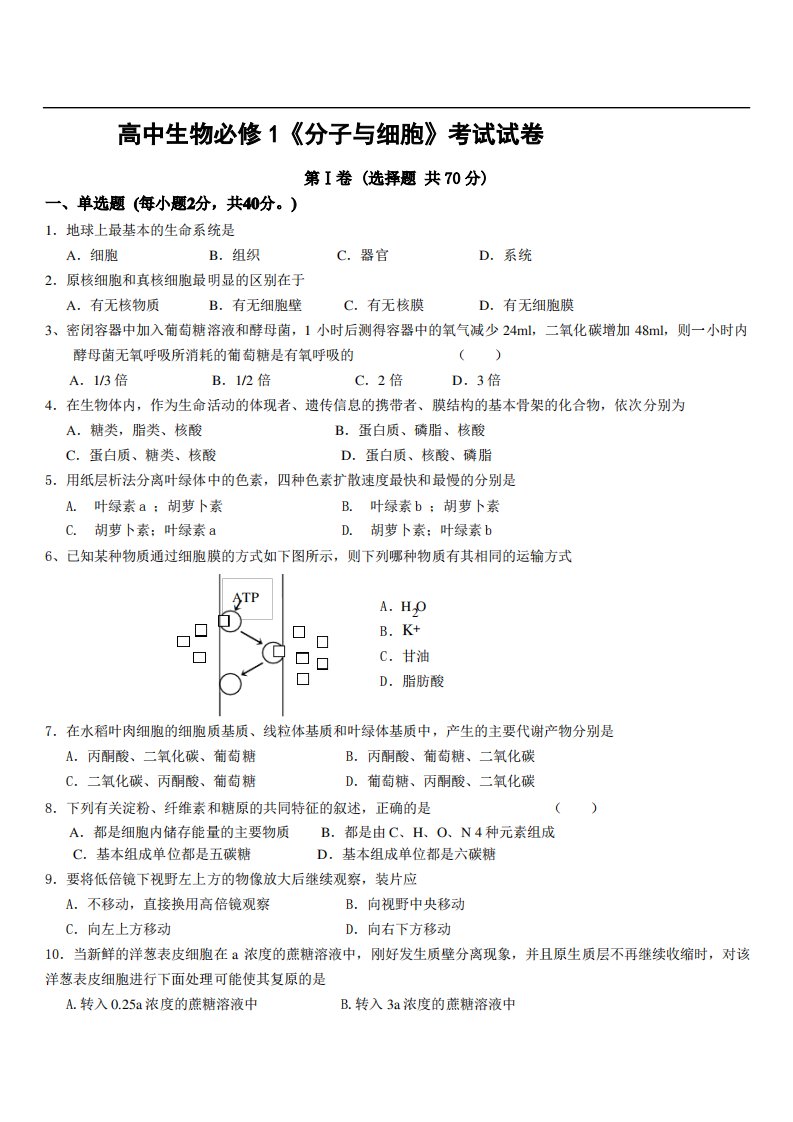 高一生物分子与细胞考试试卷