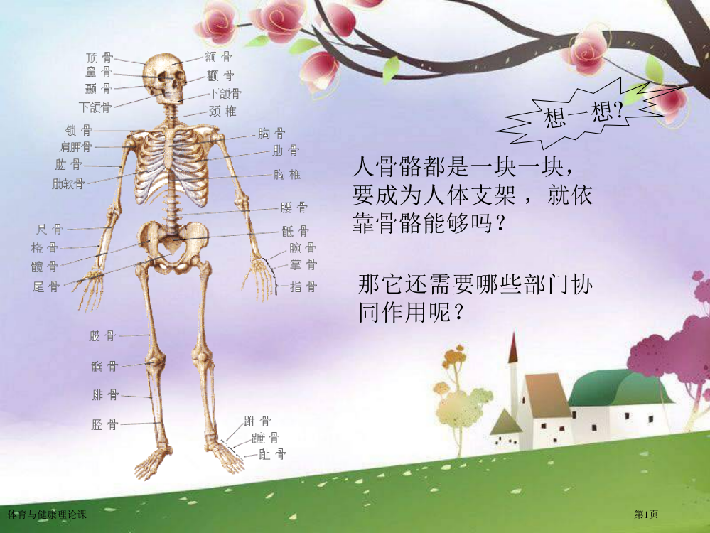 体育与健康理论课