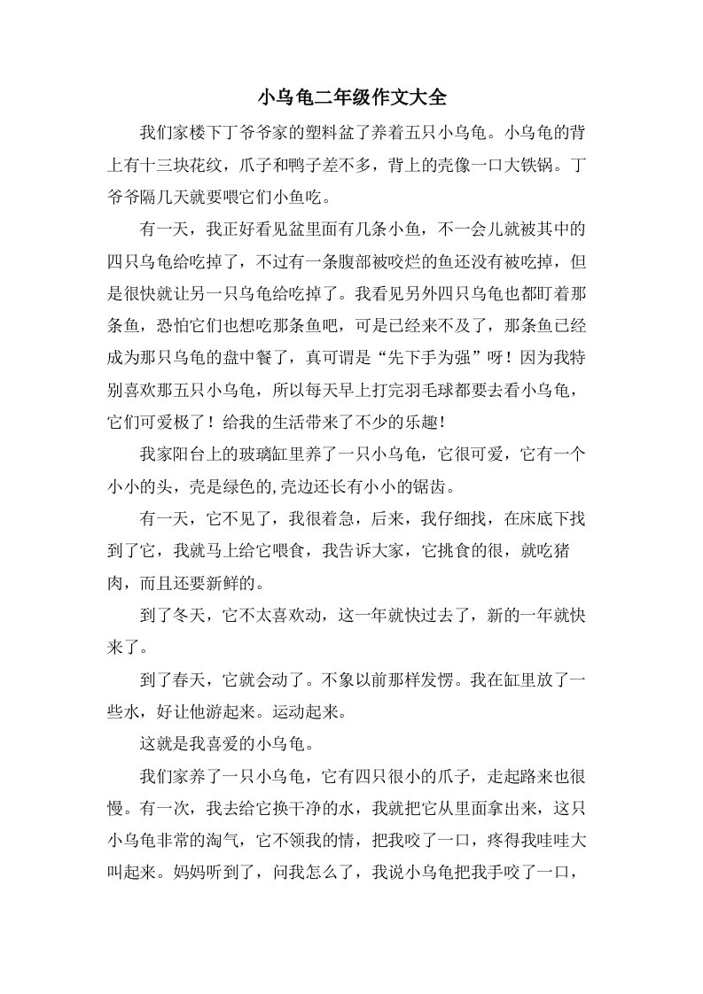 小乌龟二年级作文大全