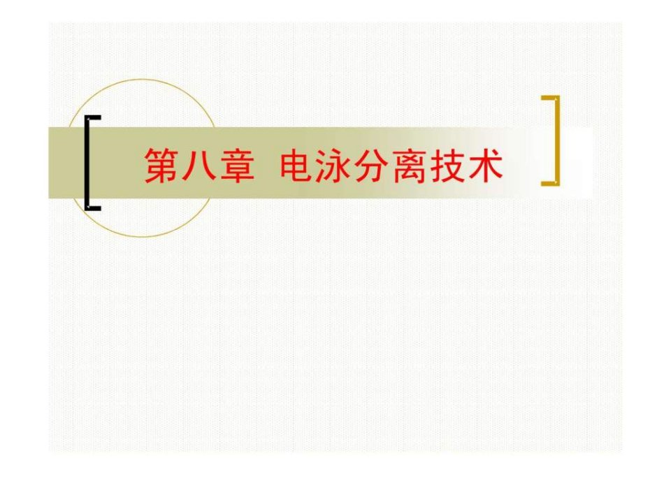 第八章电泳分离技术.ppt