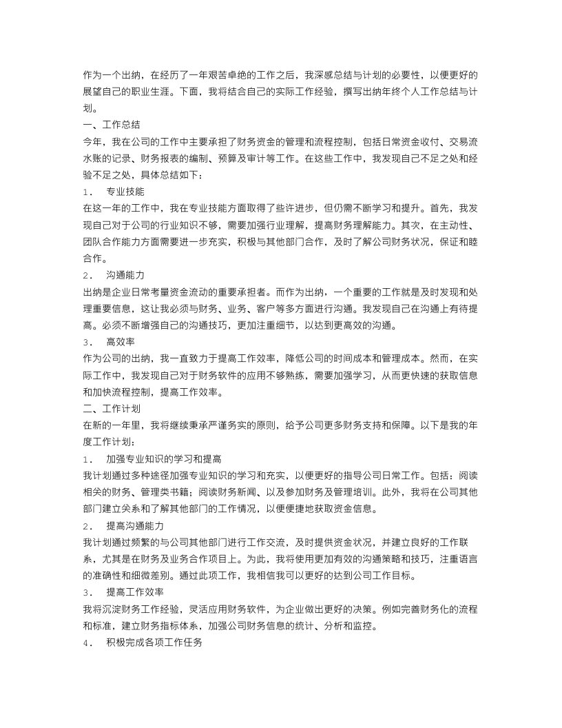 出纳年终个人工作总结与计划