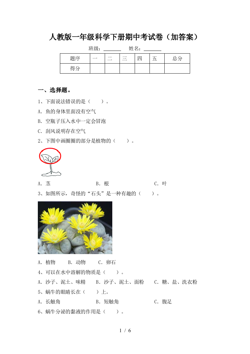 人教版一年级科学下册期中考试卷(加答案)