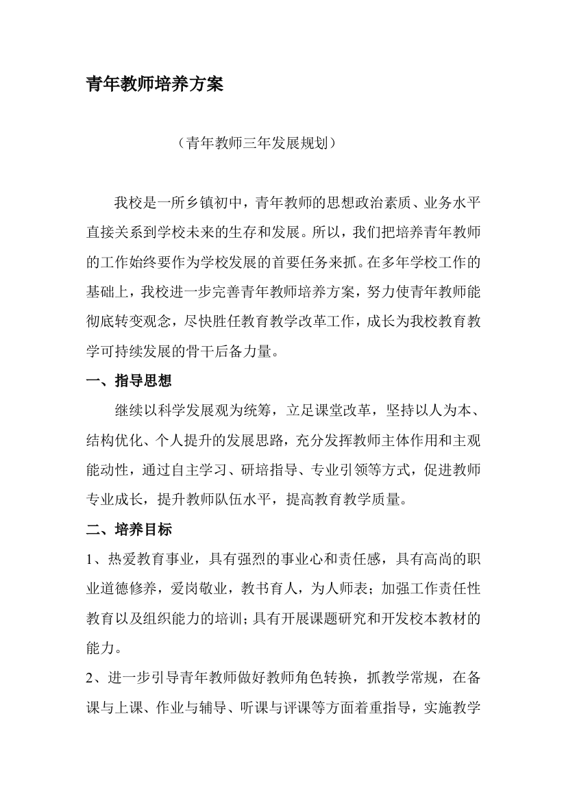 中学青年教师培训计划