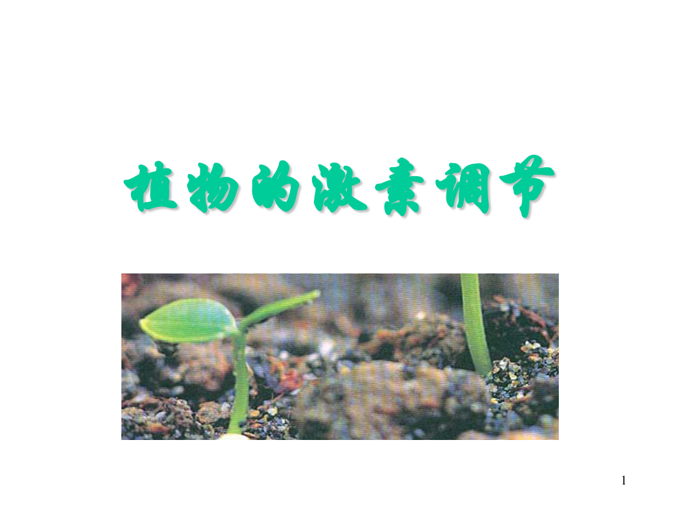 高中生物必三植物的激素调节ppt课件