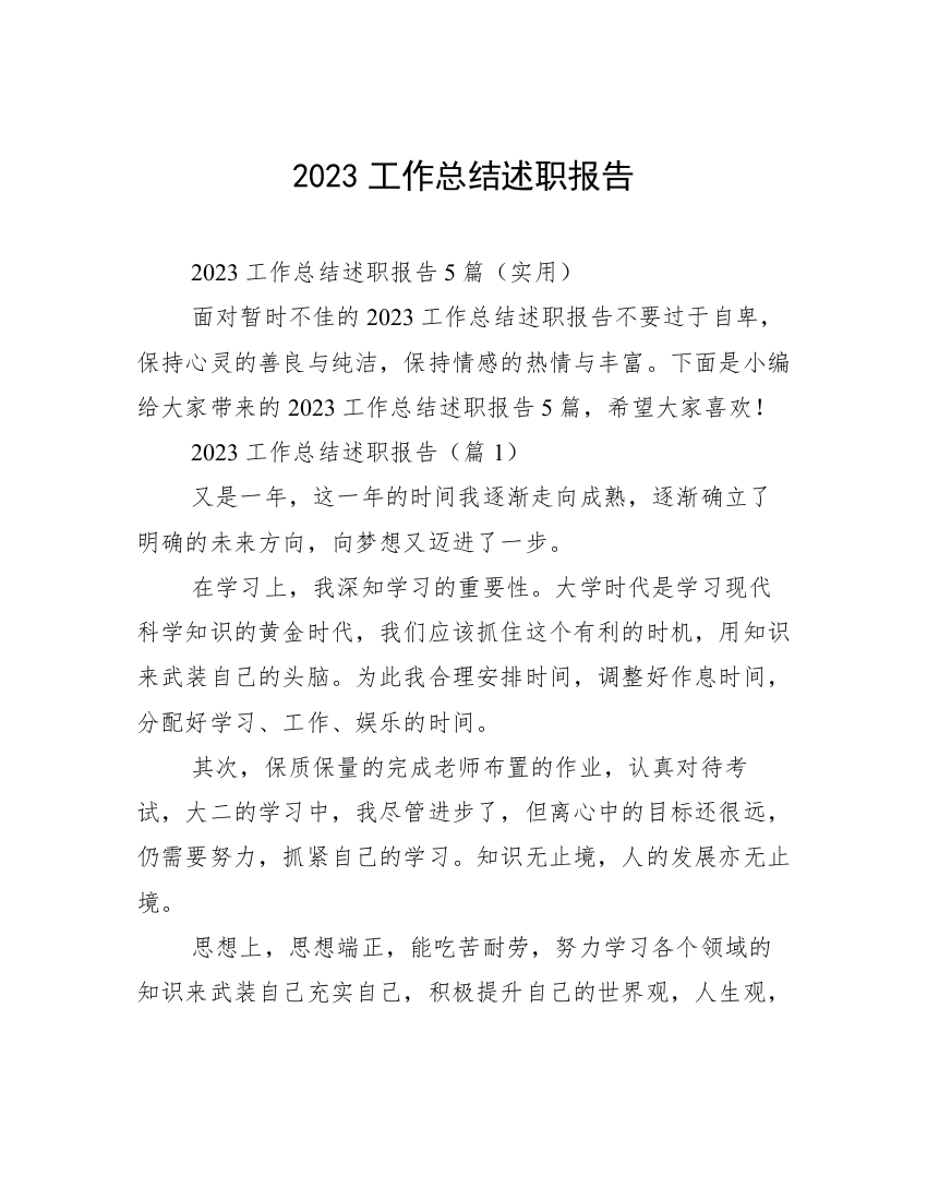 2023工作总结述职报告