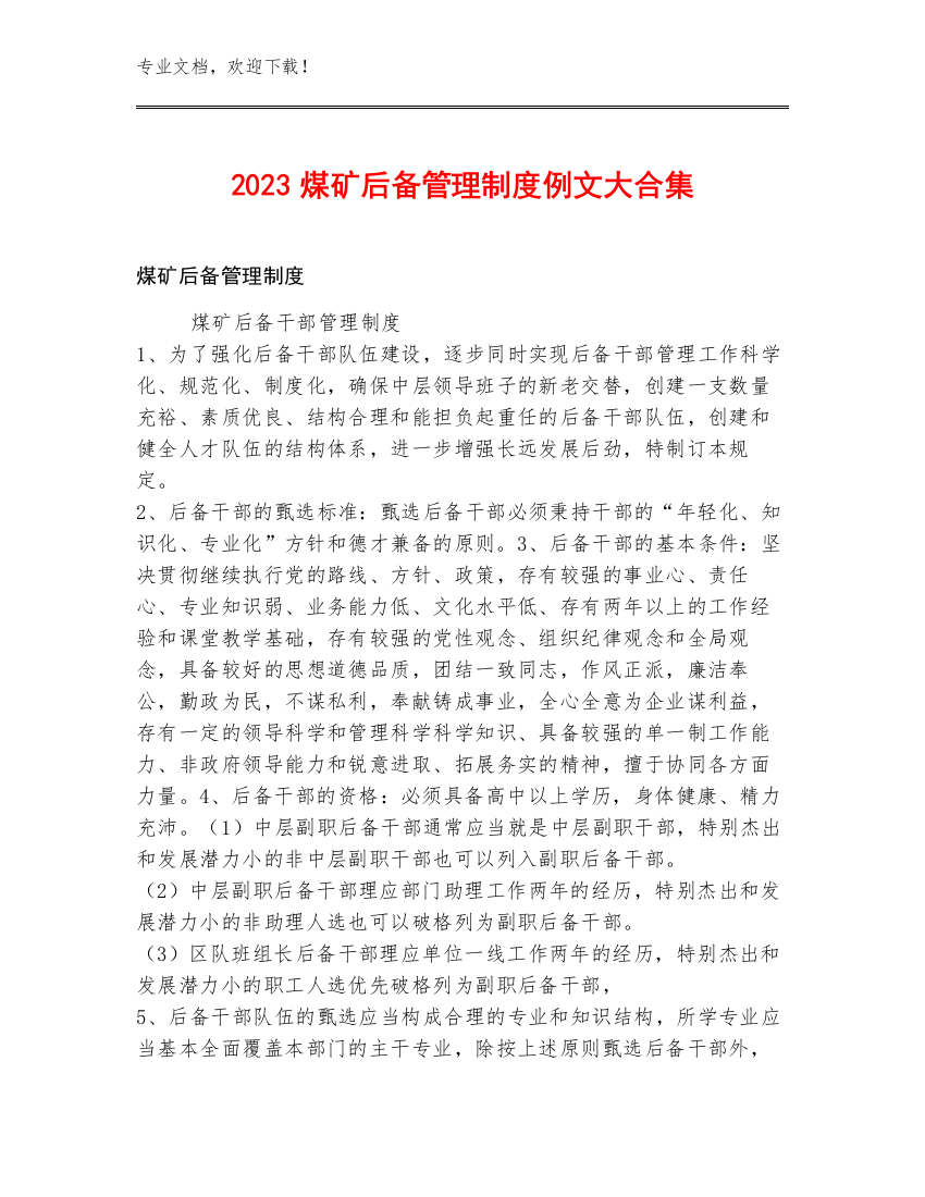 2023煤矿后备管理制度例文大合集