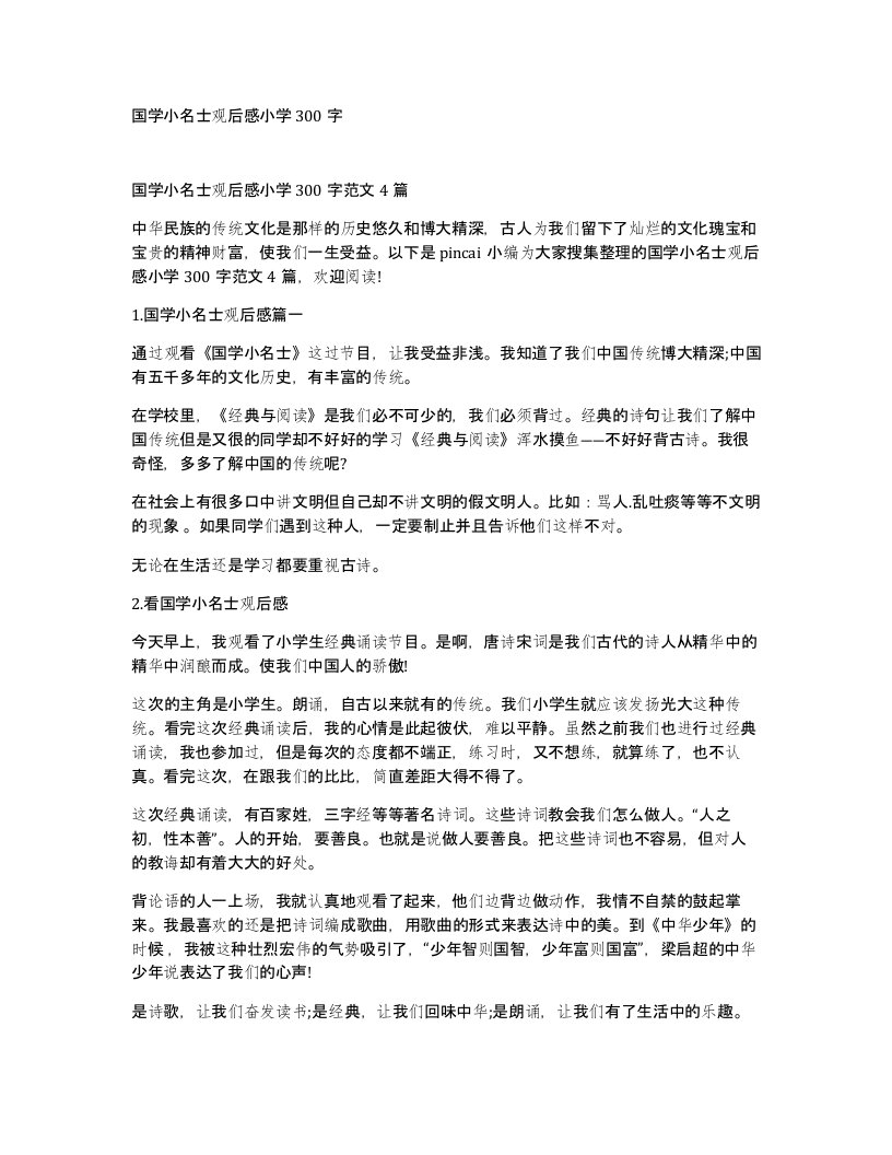 国学小名士观后感小学300字