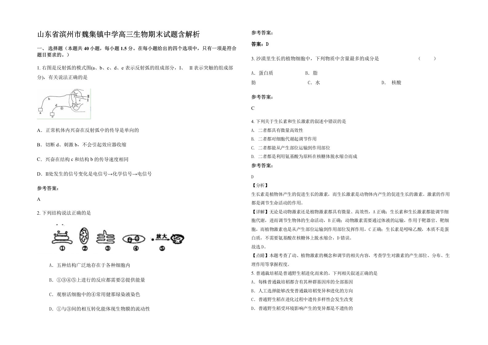 山东省滨州市魏集镇中学高三生物期末试题含解析