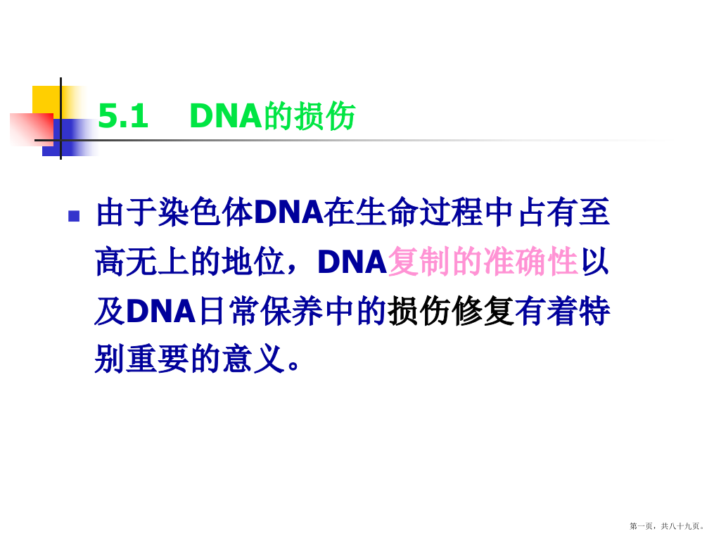 分子生物学第五六章DNA的损伤修复基因突变重组与转座