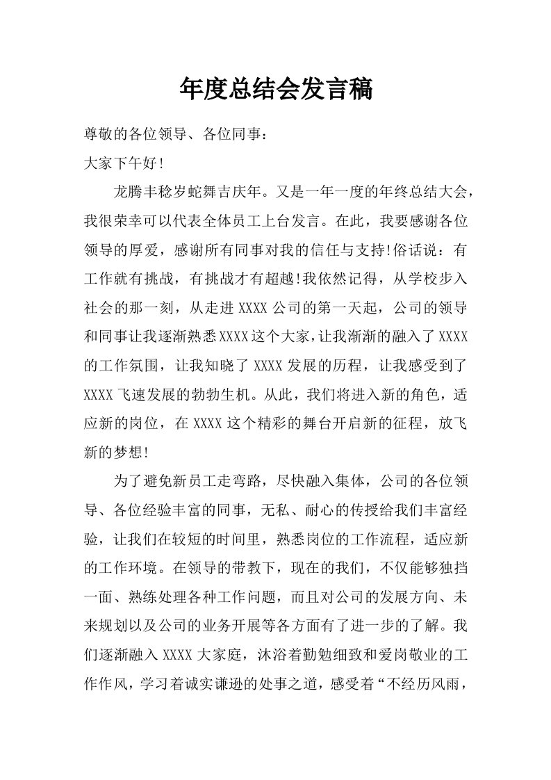 年度总结会发言稿