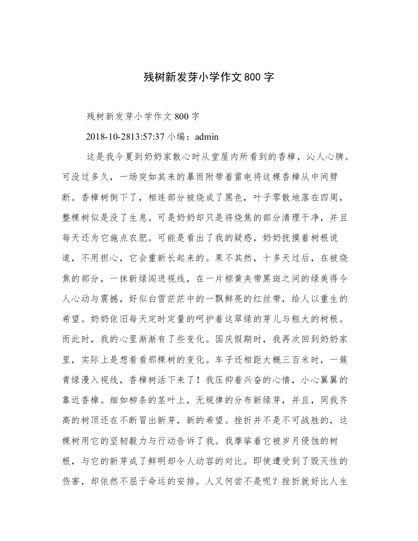 残树新发芽小学作文800字