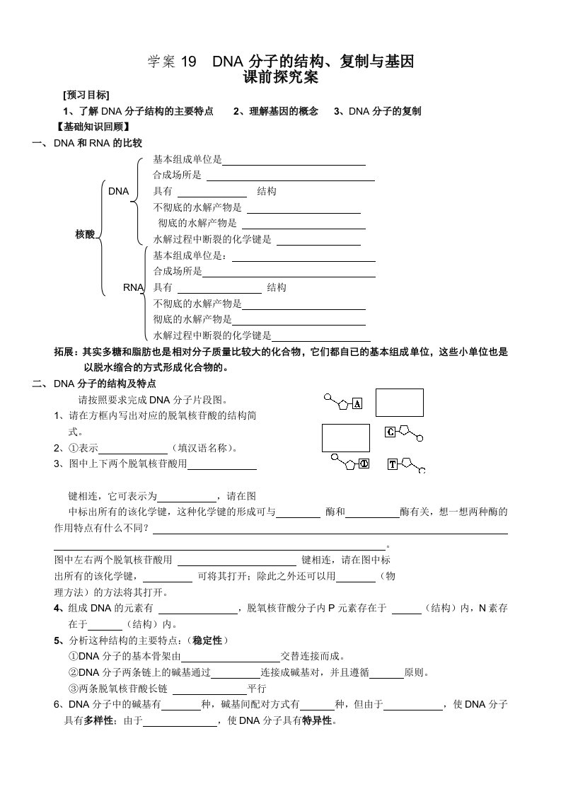 2016届高考一轮复习课时学案NO.19DNA分子结构、复制