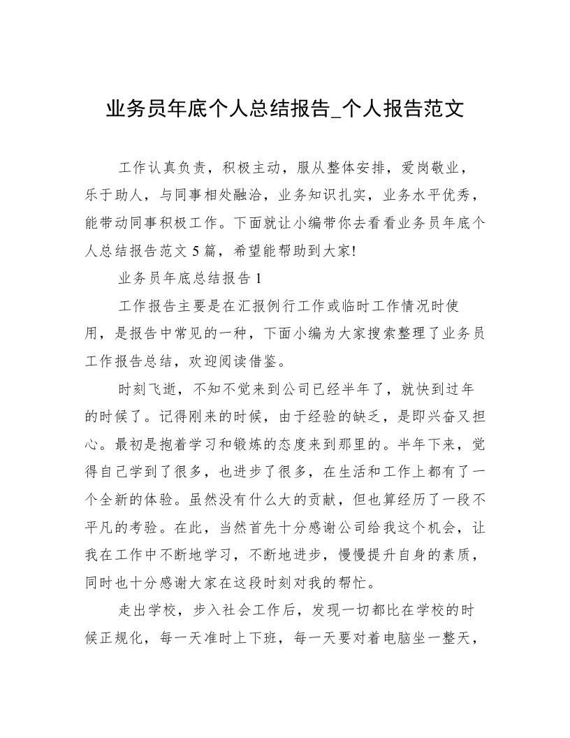 业务员年底个人总结报告