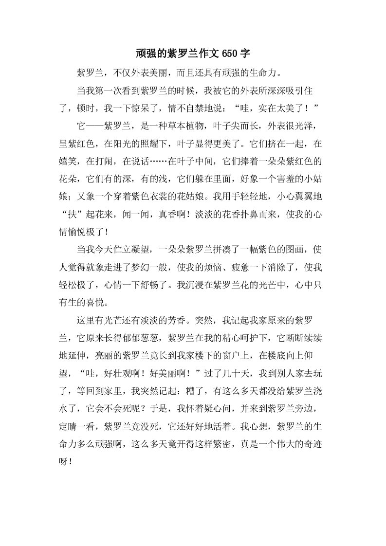 顽强的紫罗兰作文650字