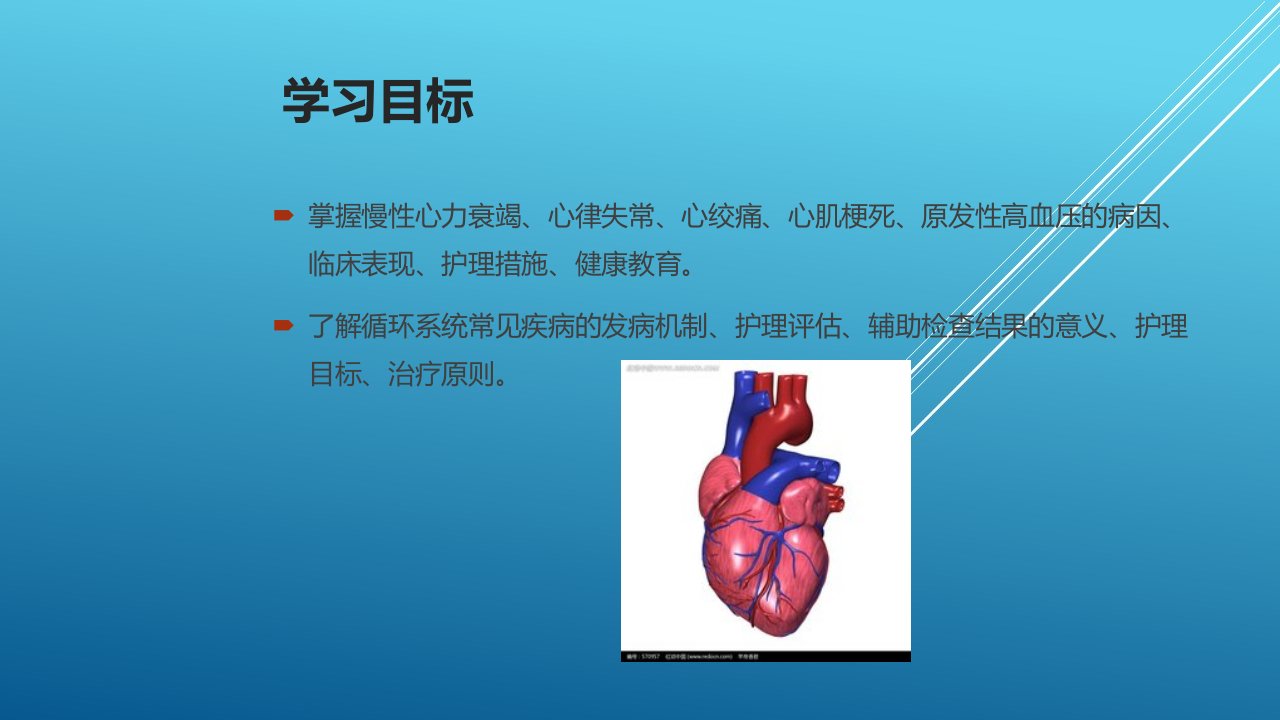 内科护理学第二章160课件