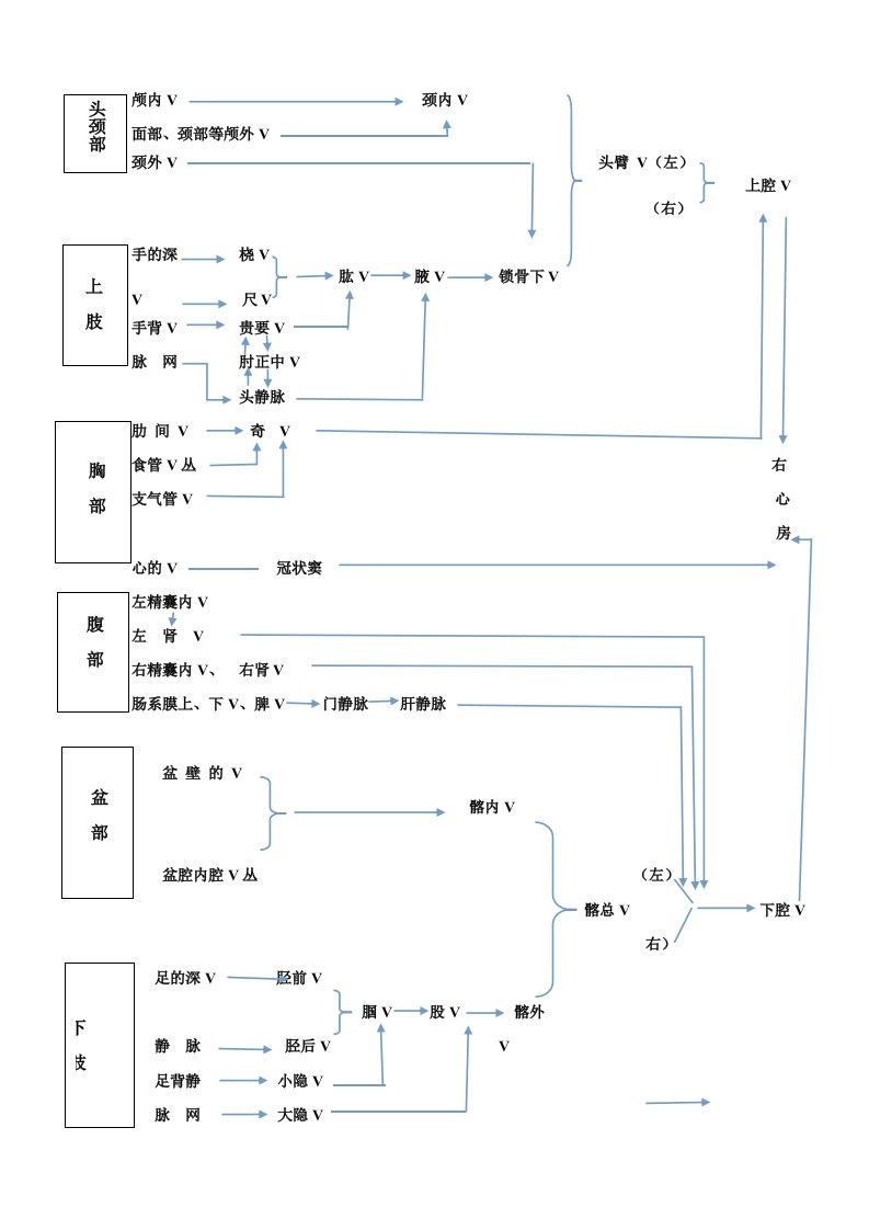 人体全身静脉图