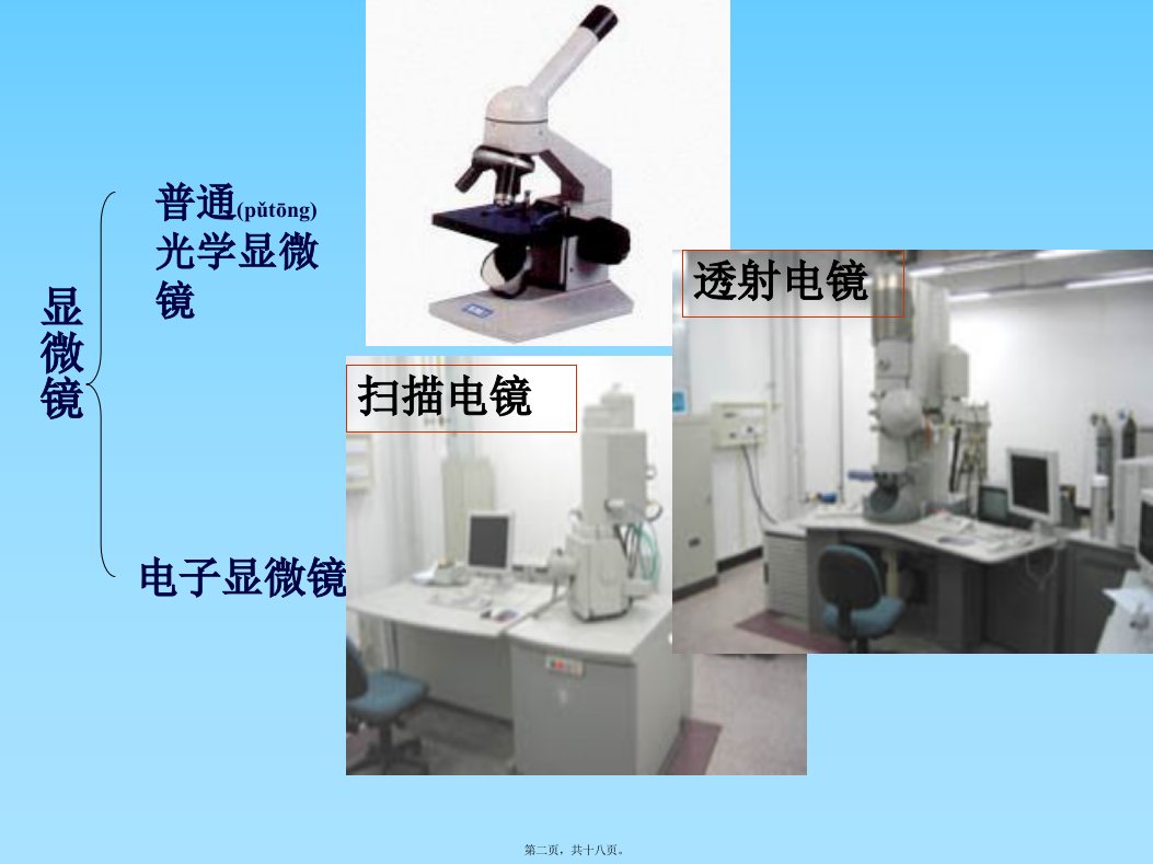 医学专题用绿色荧光染料标记鼠细胞膜上的蛋白质