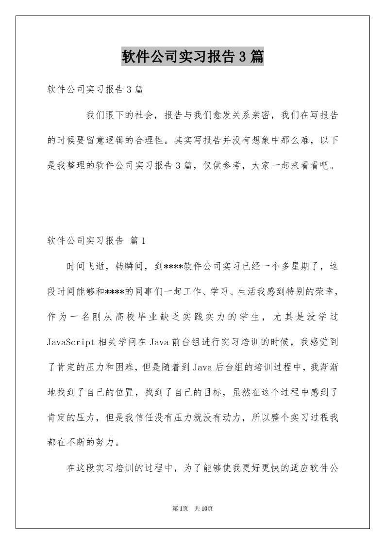 软件公司实习报告3篇精选