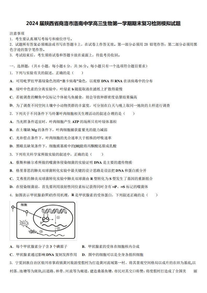 2024届陕西省商洛市洛南中学高三生物第一学期期末复习检测模拟试题含精品1145