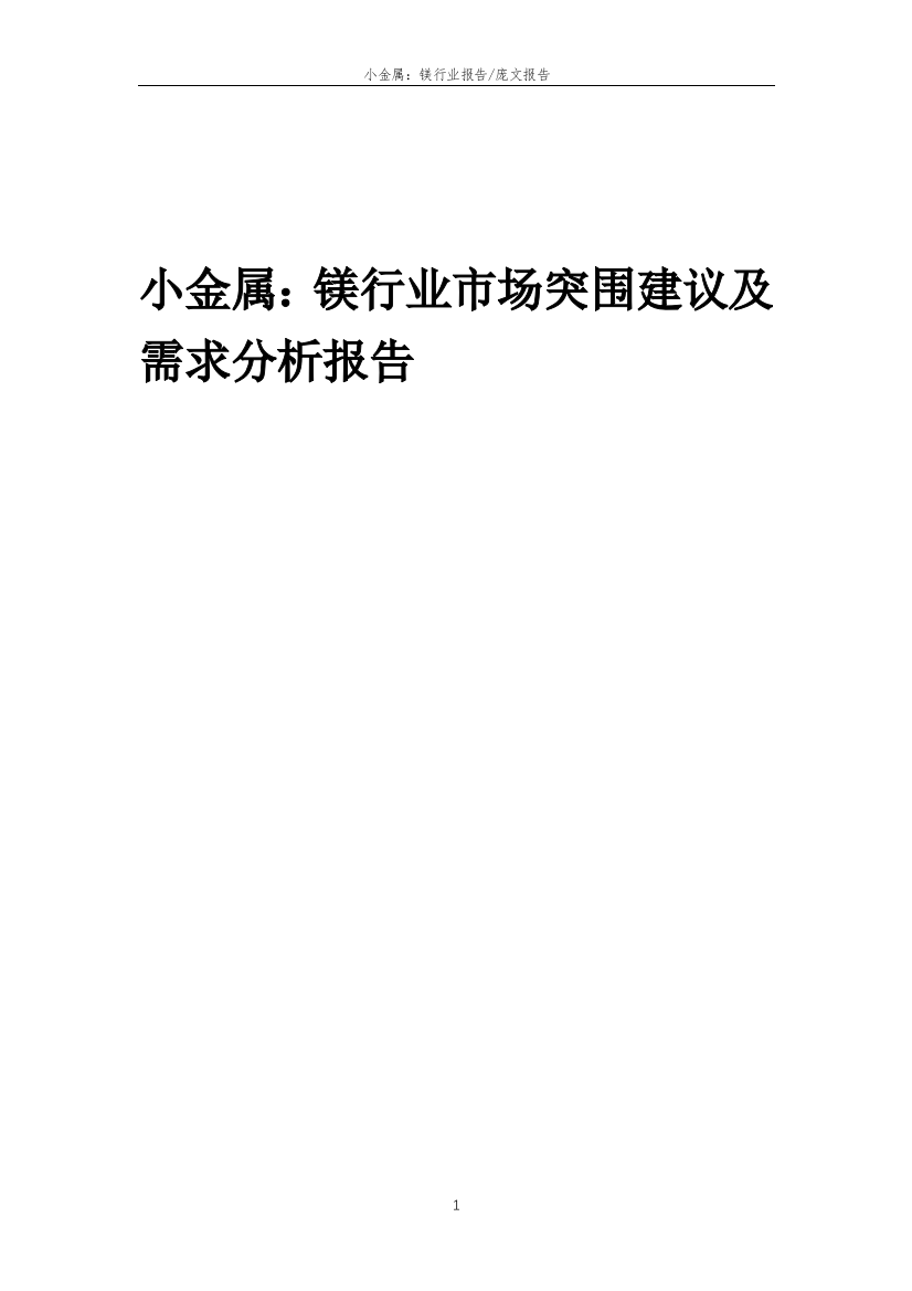 2022年小金属：镁行业市场突围建议及需求分析报告