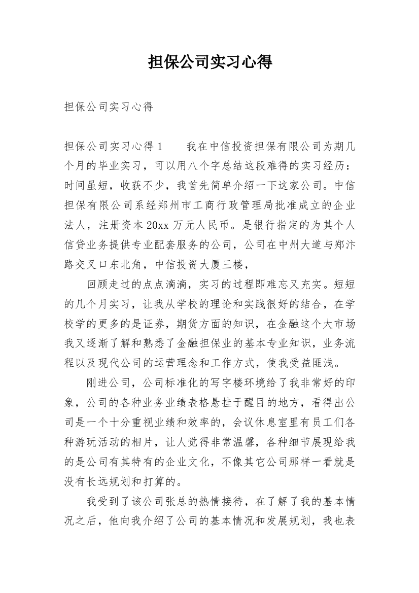 担保公司实习心得