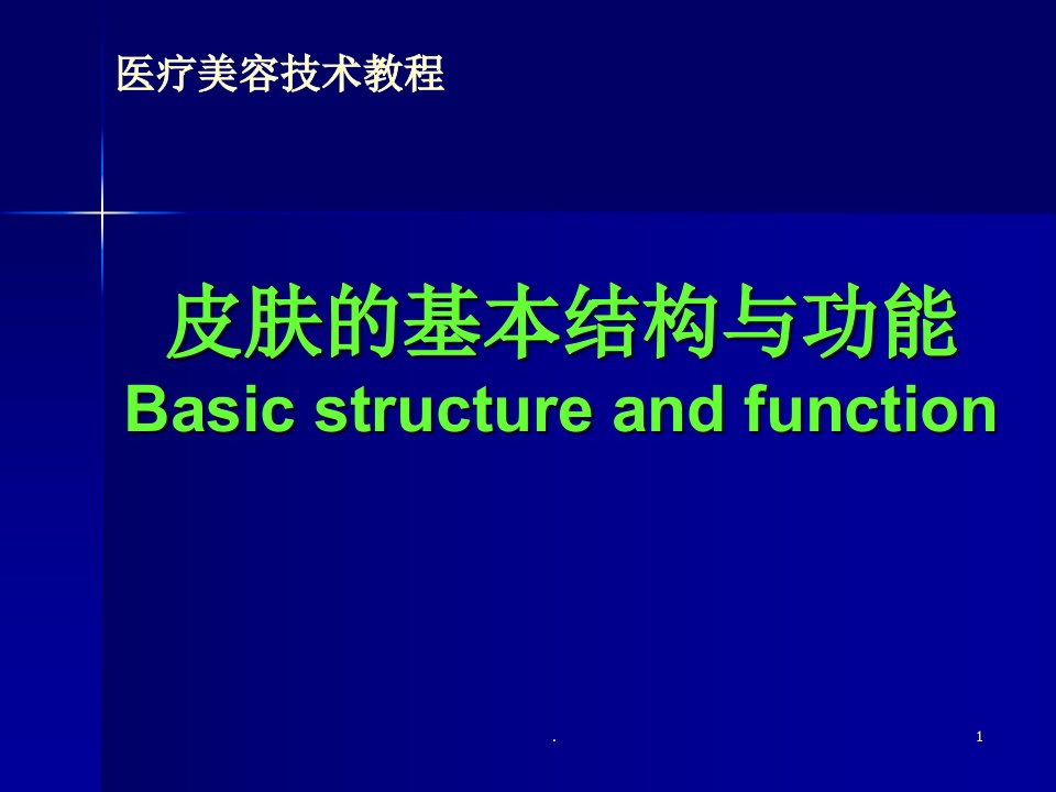 皮肤的基本结构与功能PPT课件