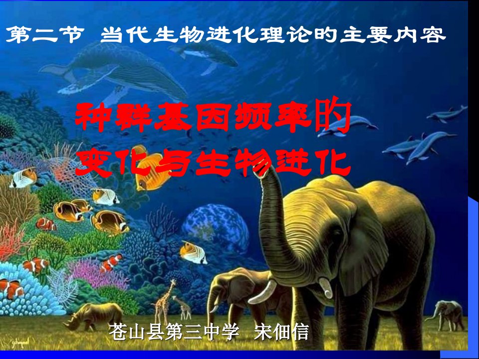 高二生物种群基因频率省名师优质课赛课获奖课件市赛课一等奖课件