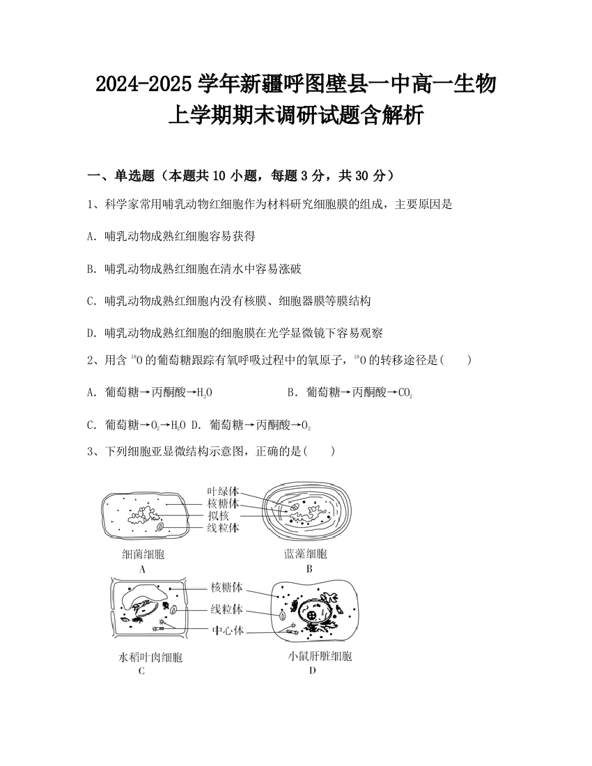 2024-2025学年新疆呼图壁县一中高一生物上学期期末调研试题含解析