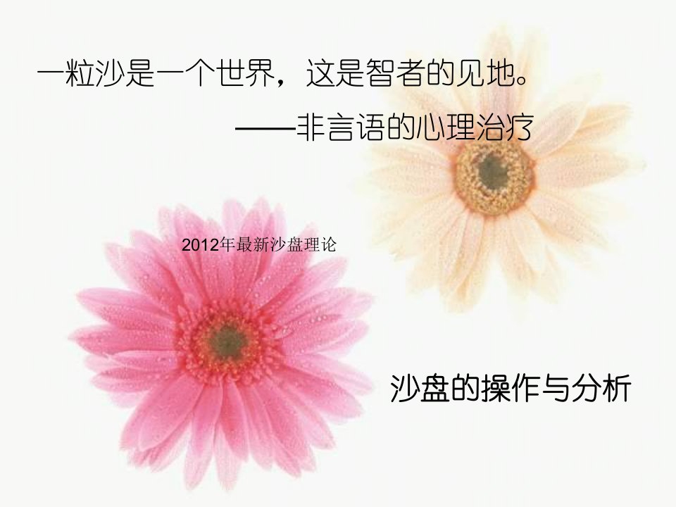 2012年最新沙盘理论