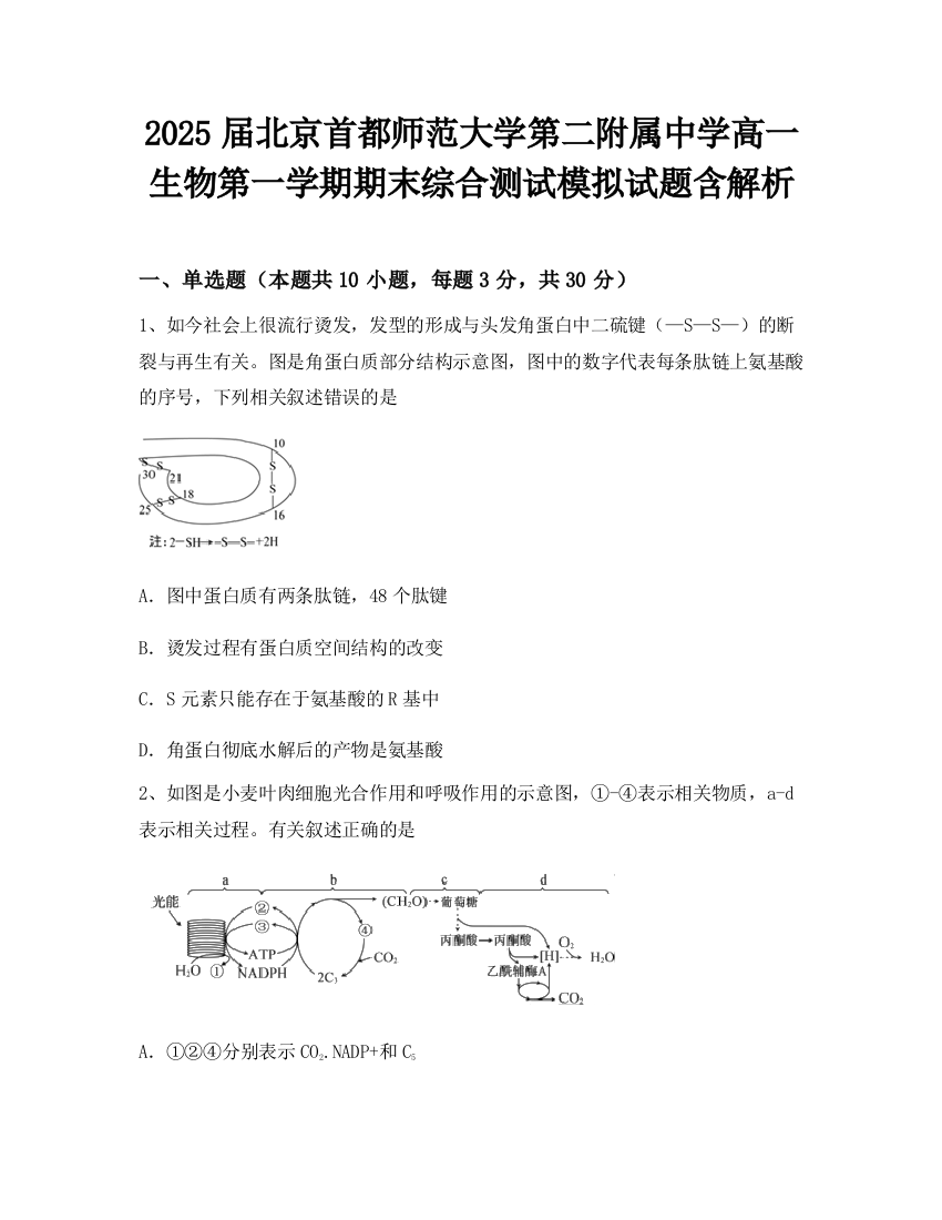 2025届北京首都师范大学第二附属中学高一生物第一学期期末综合测试模拟试题含解析