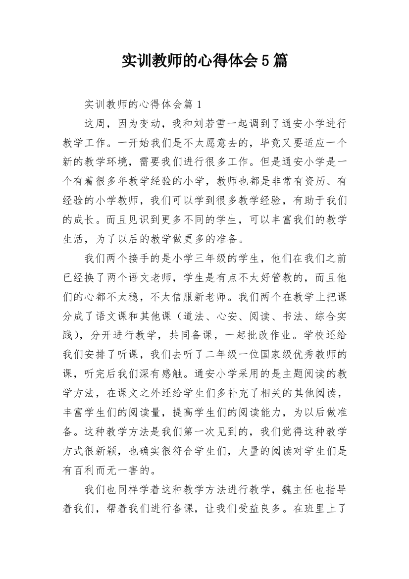 实训教师的心得体会5篇