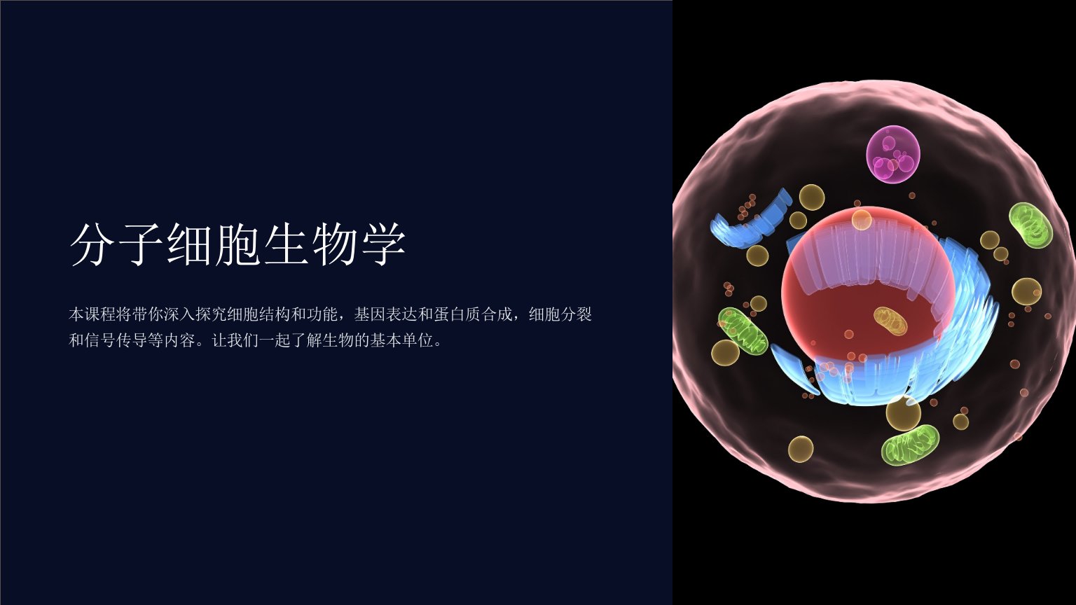 《分子细胞生物学》课件